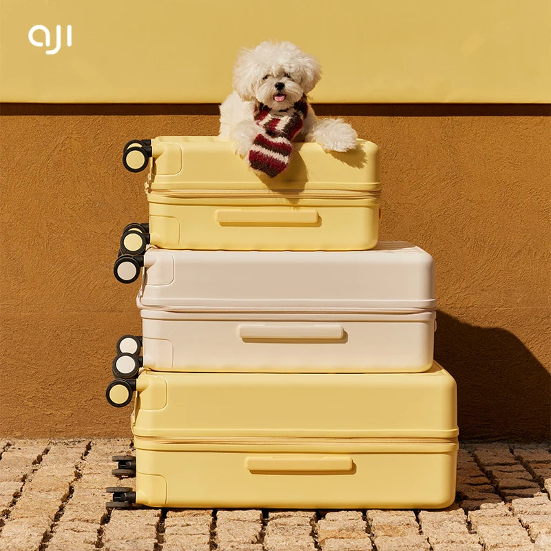 Voyan Soleil Suitcase